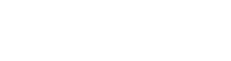 Control MIP Logo